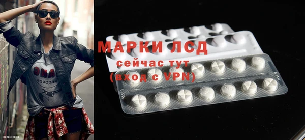 МДПВ Инсар