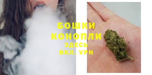 МДПВ Инсар