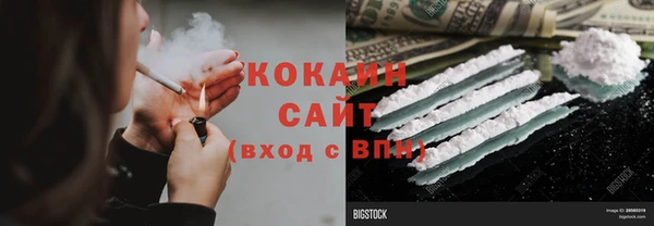 МДПВ Инсар