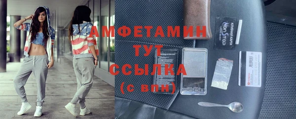 МДПВ Инсар