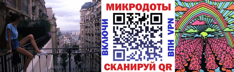 Купить Духовщина Галлюциногенные грибы Psilocybine cubensis
